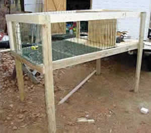 Building a Puppy Palace for Beagles.