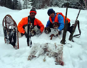You can't beat wintertime snowshoe hare hunting!