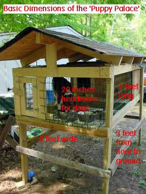 Building a Puppy Palace for Beagles.