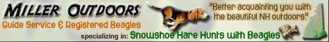 Link to us!  -  Miller Outdoors :: Guide Service & AKC Beagles