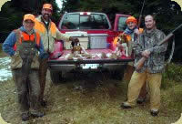 NH rabbit hunting