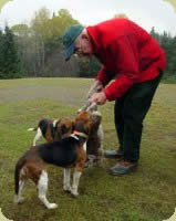 Rabbit Hunting in NH