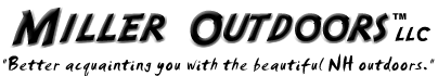 Miller Outdoors :: Guide Service & Registered Beagles :: NH Hunting Guide