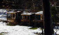 if you bring hounds they'll rest in comfort in our off-the-ground wire pens - each pen easily holds 3 15