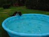brandy_pool.jpg