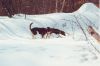 katie_annie_snow2.jpg