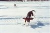 katie_annie_snow4.jpg