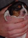 newborn1.jpg
