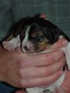 newborn2.jpg