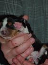 newborn3.jpg