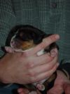 newborn4.jpg