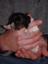 newborn5.jpg