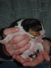 newborn6.jpg