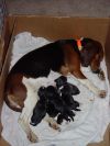 newborns2.jpg