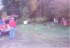 camp_5dogs_etc.jpg