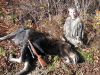 new-cams-moose2008.jpg