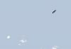 hawk_over_moose_mt.jpg