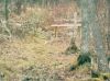 hare_turning_corner.jpg
