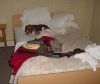after_hunt_in_motel2.jpg