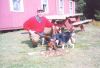 chris_dogs_hare_camp_01.jpg