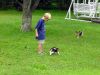 3pups04.jpg