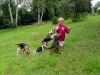 4dogs04.jpg